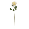 Full view of a cream artificial peony with a large double bloom, dark green leafy sprays and a long slender stem against white.