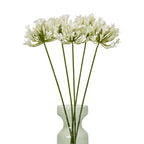 Several cream radialhead stems arranged in a pale green glass vase against a white background.