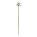 Cream Radialhead Artificial Flower Stem shown in full against white, with a slim green stem and cream-white flower head.