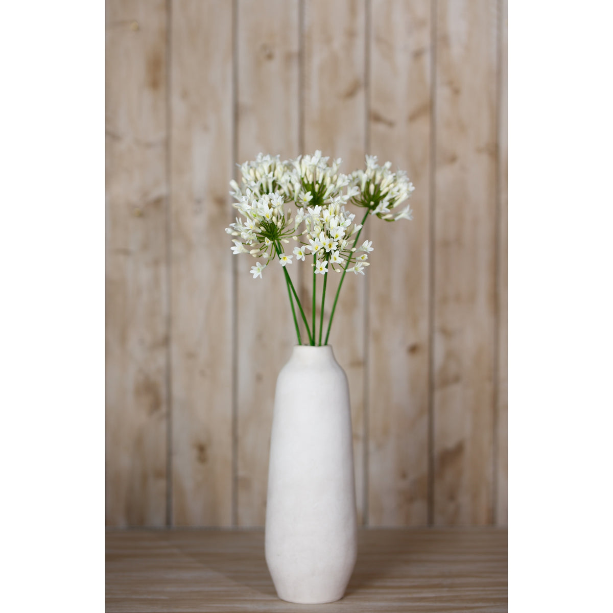 Cream radialhead stems displayed in a tall white vase on a wooden surface in front of pale wood panelling.