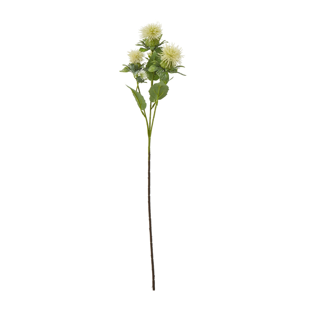 Full view of the Cream Spikyhead artificial botanical spray, with cream spiky heads, green leaves and a long slender stem against white.