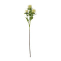 Full view of the Cream Spikyhead artificial botanical spray, with cream spiky heads, green leaves and a long slender stem against white.