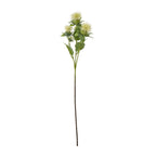 Full view of the Cream Spikyhead artificial botanical spray, with cream spiky heads, green leaves and a long slender stem against white.