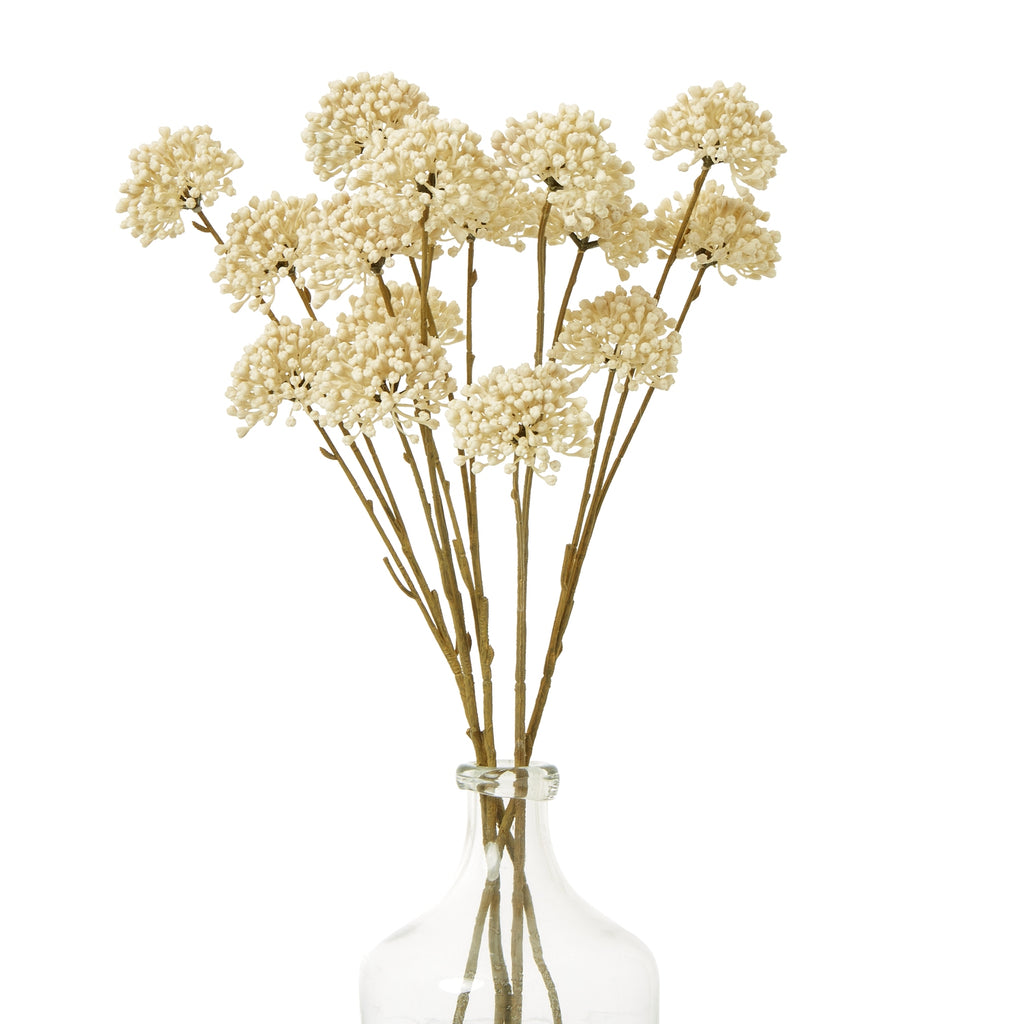 Several cream botanical sprays arranged in a clear bottle-shaped vase against a white background.