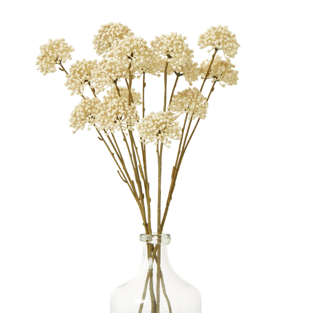 Several cream botanical sprays arranged in a clear bottle-shaped vase against a white background.