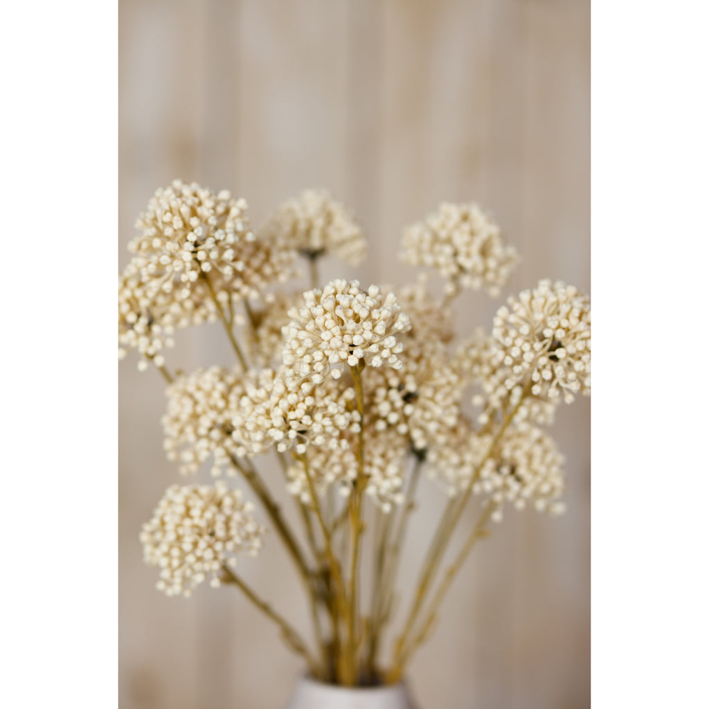 Detail of a cream botanical arrangement, with a central rounded cluster in focus and surrounding heads softly blurred against beige.