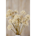 Detail of a cream botanical arrangement, with a central rounded cluster in focus and surrounding heads softly blurred against beige.