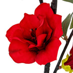 Detail of a red flower with overlapping textured petals and a dark centre, beside a narrow green leaf and dark brown stems.