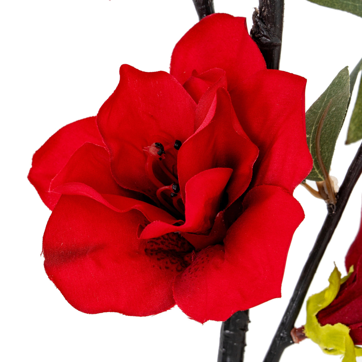 Detail of a red flower with overlapping textured petals and a dark centre, beside a narrow green leaf and dark brown stems.