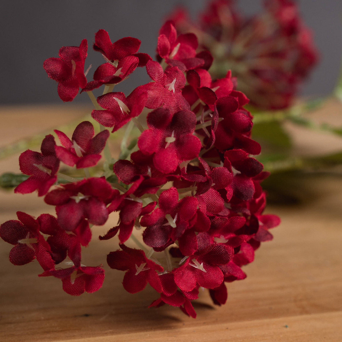 Close-up of a crimson viburnum flower cluster, showing finely textured red petals, darker shading and small pale centres.