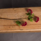 Crimson artificial viburnum stem laid across a wooden bench, showing the spreading branches, green leaves and undersides of the flower clusters.