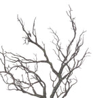 Close view of the forked branches and fine angular twigs, showing pale grey-white and green speckles across the dark brown surface.