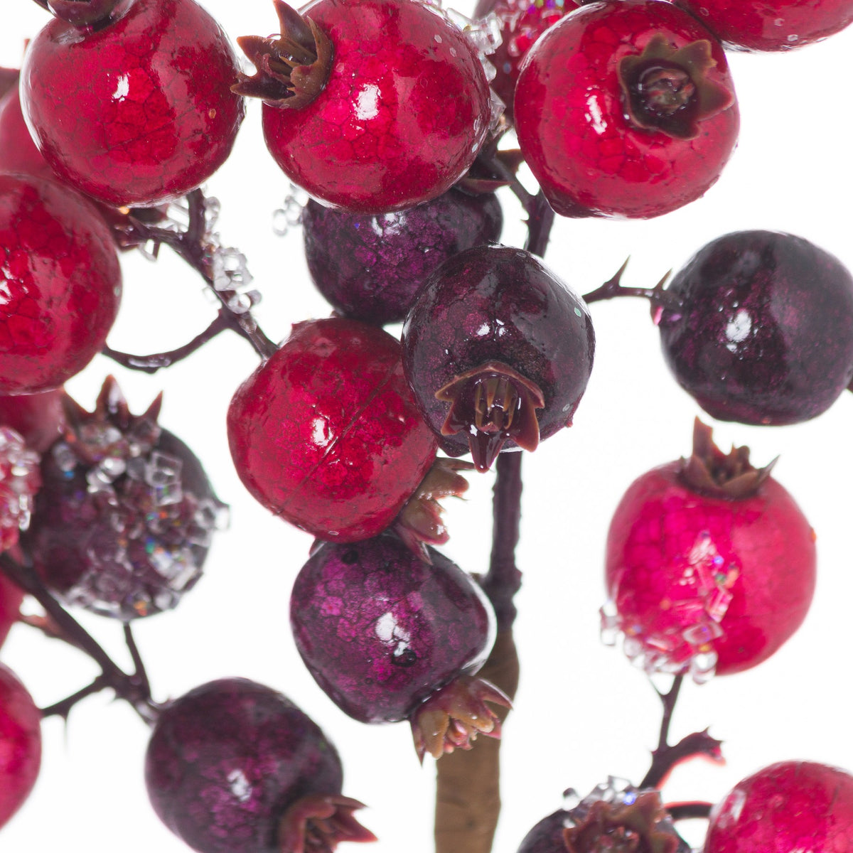 Close-up of glossy mottled red and burgundy berries, showing brown crown-shaped caps and clear bead-like decoration.