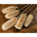 Cream botanical heads laid diagonally across a wooden surface, with slender stems extending towards the upper right.