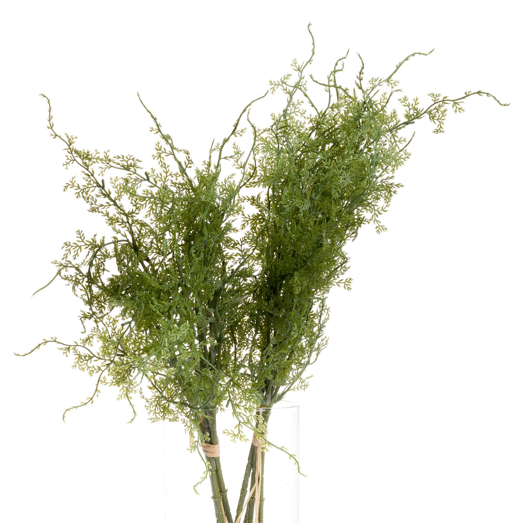 Close view of fine green Curltip foliage and twisting branch tips, with tied stems standing in a clear glass vase.