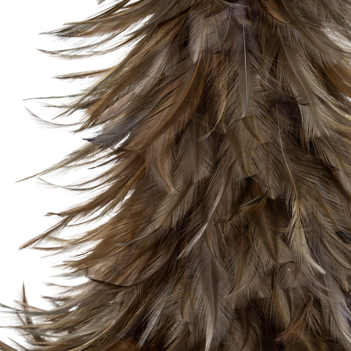 Close-up of the tree's overlapping taupe and brown feather-like detail, showing fine strands and long curved tips along the edge.