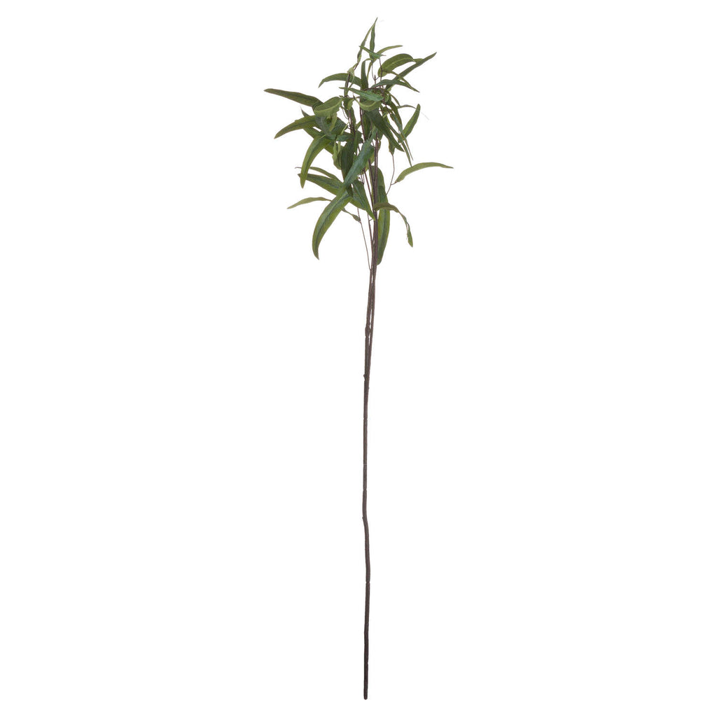 Full view of an artificial eucalyptus spray with a long dark brown stem and curved green leaves clustered around its upper branches on white.