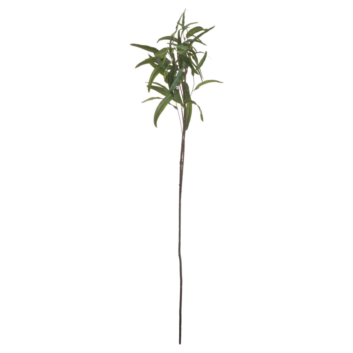 Full view of an artificial eucalyptus spray with a long dark brown stem and curved green leaves clustered around its upper branches on white.