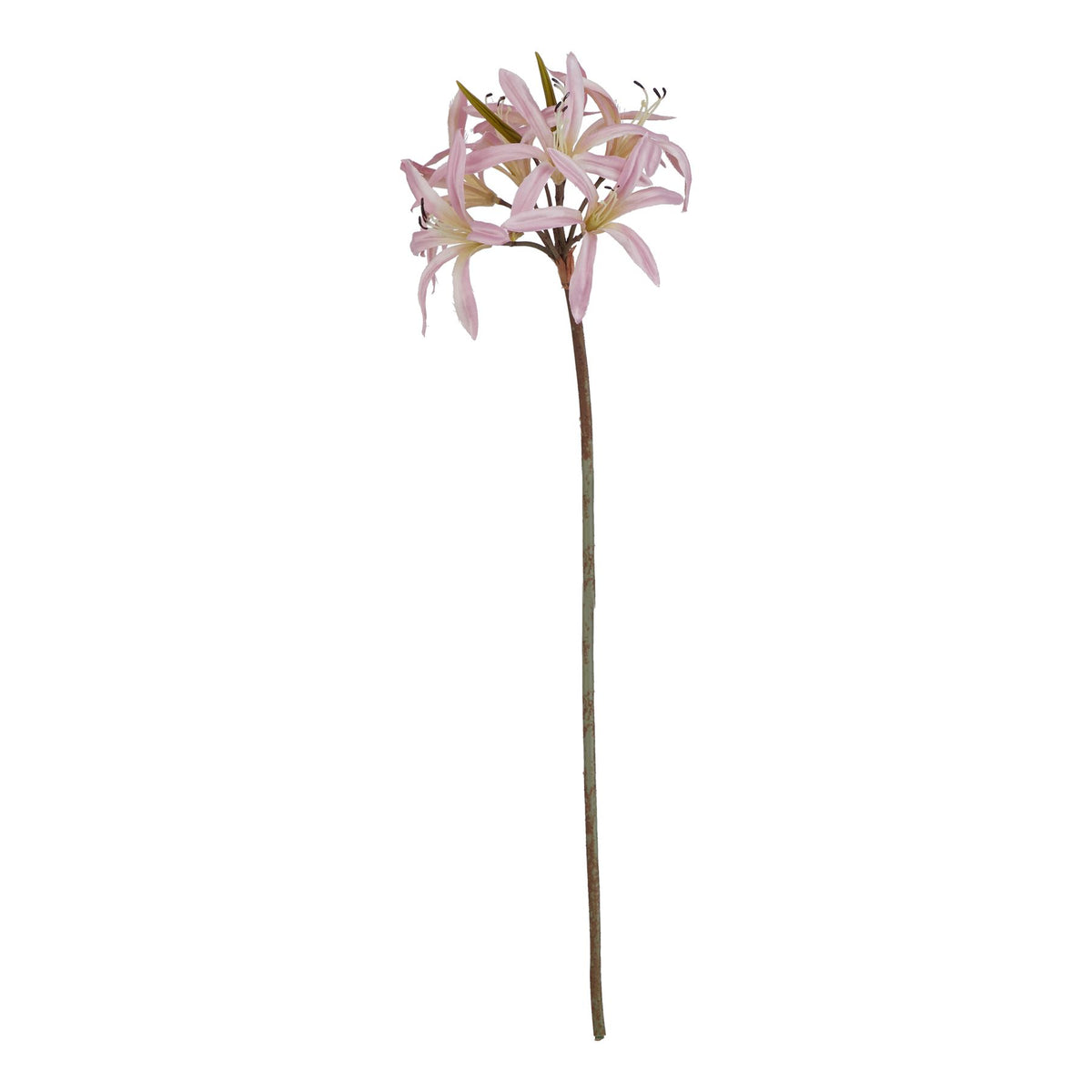 Full view of a long brown-green artificial stem topped with curved pale pink flowers and pointed olive buds against a white background.
