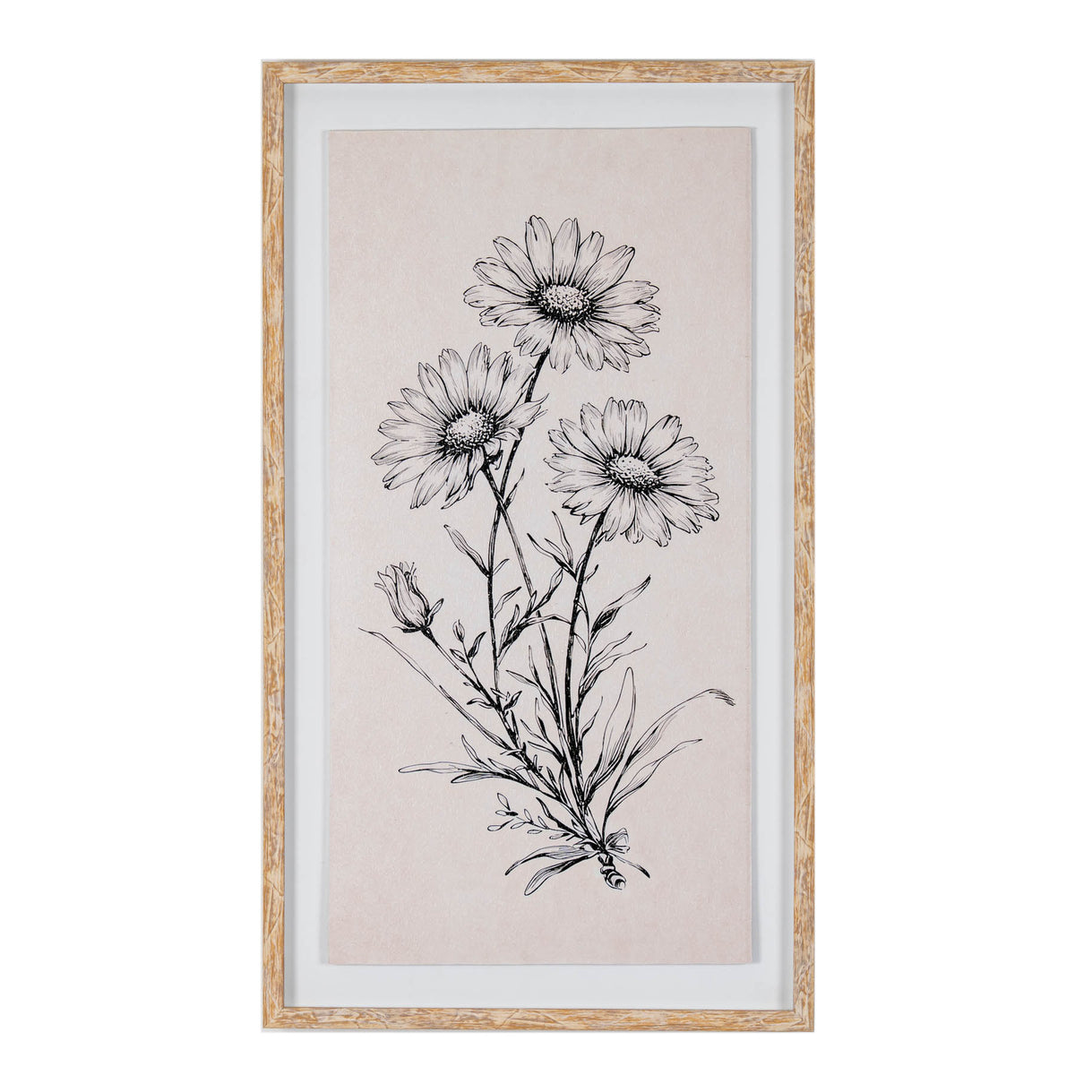 Front view of tall framed botanical artwork showing three daisy-like flowers, a bud and narrow leaves in black on pale blush-cream, with a pale surround and golden-brown frame.