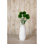 Green dianthus arrangement in a tall cream vase on a wooden surface in front of pale vertical timber boards.