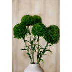 Detail of rounded dark green dianthus heads and narrow foliage above the neck of a cream vase, with a softly blurred timber background.