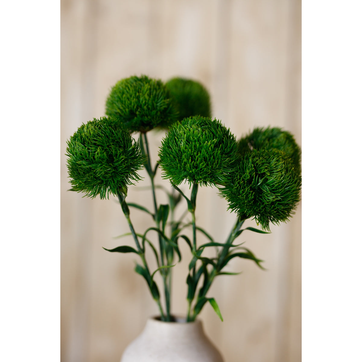 Detail of rounded dark green dianthus heads and narrow foliage above the neck of a cream vase, with a softly blurred timber background.