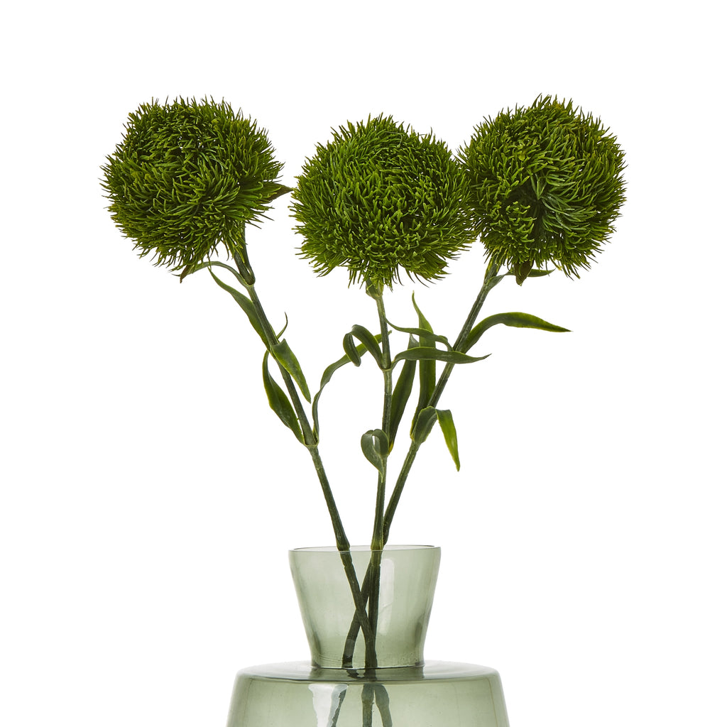 Three green dianthus stems arranged in a pale green glass vase, with rounded flower heads spread across a white background.