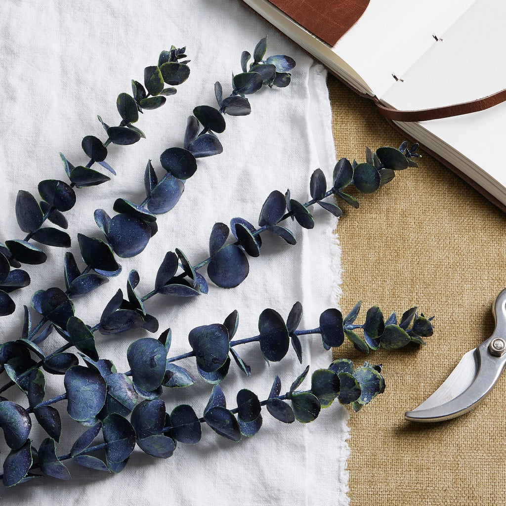 Close view of blue-black rounded leaves with green edging laid across white cloth, beside an open notebook and part of a pair of secateurs.