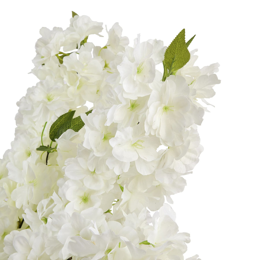Close-up of overlapping white blossom petals, pale green centres and veined green leaves.