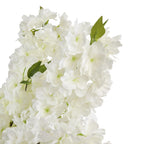 Close-up of overlapping white blossom petals, pale green centres and veined green leaves.