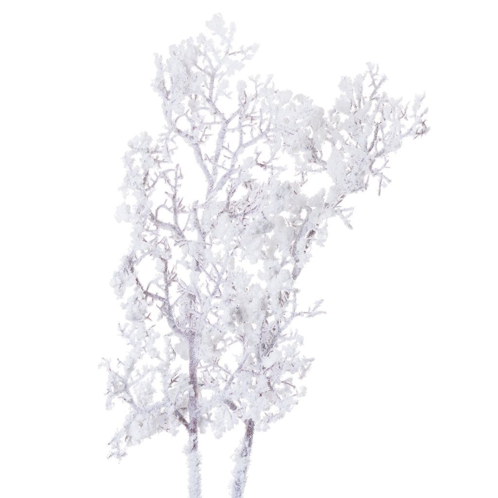 Closer view of the branching upper section, with clustered white flocking along fine brown-grey branchlets.