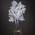 White flocked branches arranged in a clear handled jug against a dark background.