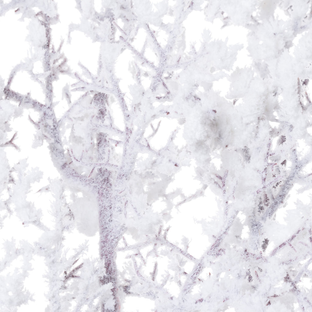 Close-up of fibrous white flocking and thicker snowy deposits over intersecting brown-grey stems.