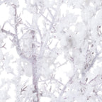 Close-up of fibrous white flocking and thicker snowy deposits over intersecting brown-grey stems.
