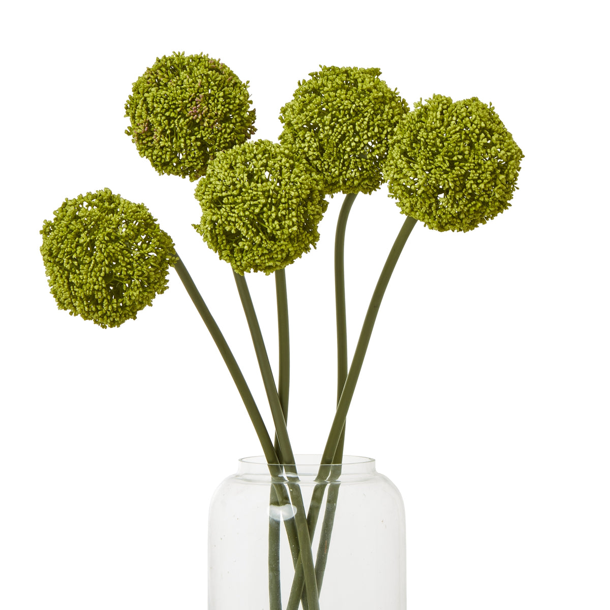 Five green spherical botanical heads arranged at different heights in a clear vase against a white background.