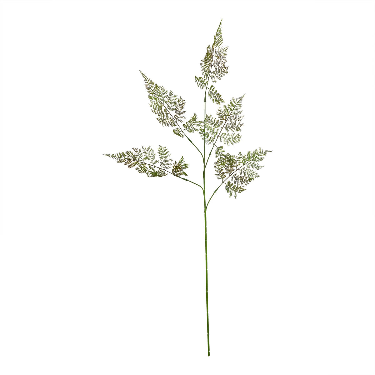 Full view of the artificial foliage spray against white, with a long green stem and open fern-like fronds branching upwards and outwards.
