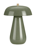 Green table lamp with a glossy dome shade, tapered rounded base and small brass cap, shown against white.