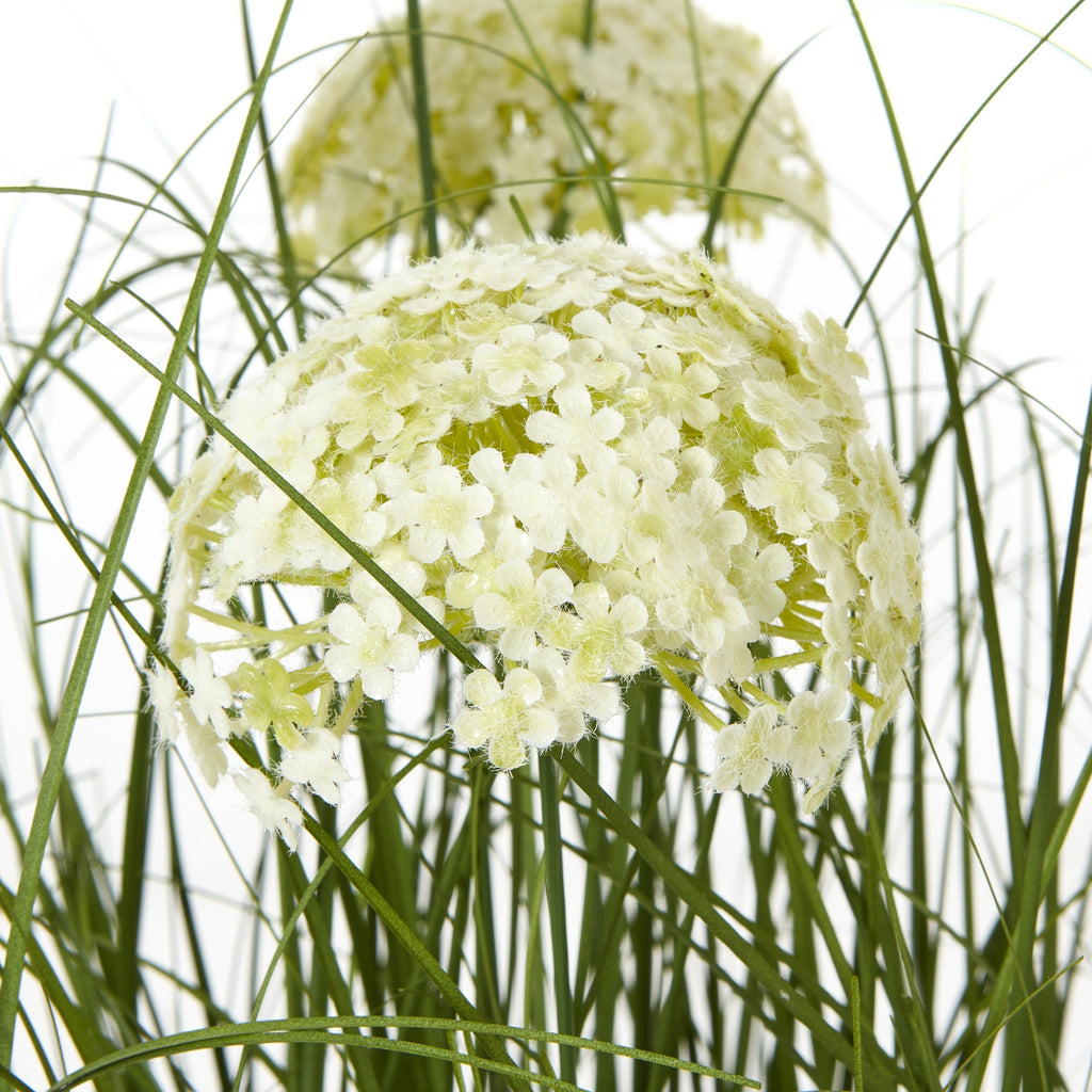 Close-up of a pale cream-white domed flower cluster, with small petals surrounded by crossing green blades and slender stems.