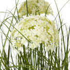 Close-up of a pale cream-white domed flower cluster, with small petals surrounded by crossing green blades and slender stems.