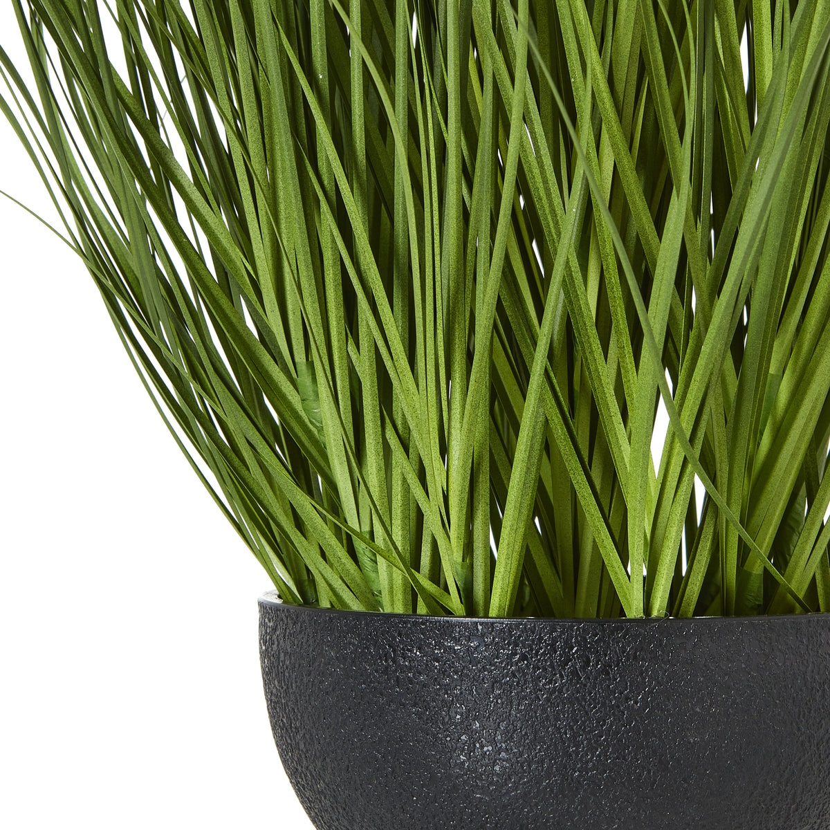 Close-up of green blades rising above the rim of the rounded black pot, showing its textured surface.