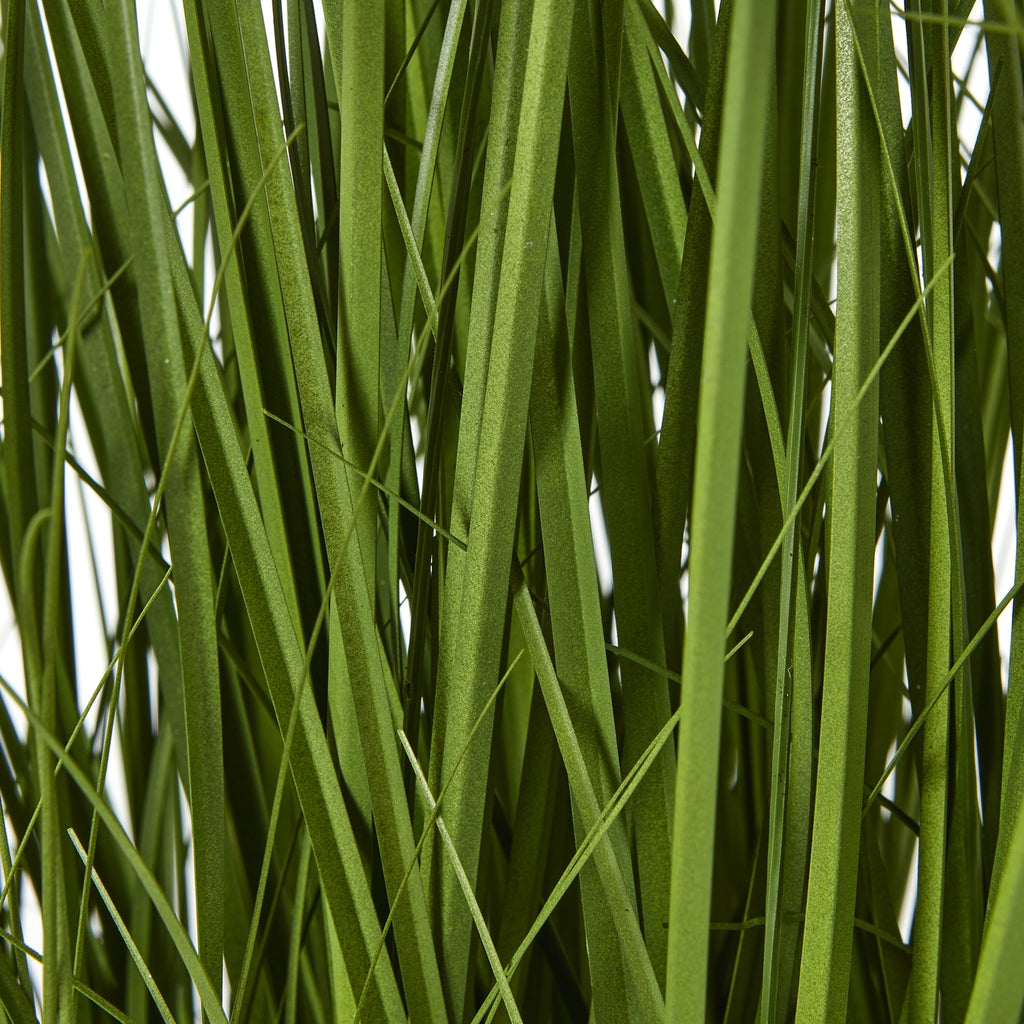 Detail of overlapping flat green blades with narrow threadlike strands crossing between them.