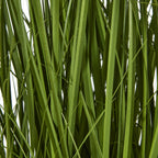 Detail of overlapping flat green blades with narrow threadlike strands crossing between them.