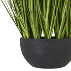 Close-up of the rounded black pot's grainy surface and the green blades emerging above its rim.