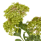 Close-up of tightly grouped green buds with scattered muted pink tips, above rounded green leaves on the artificial botanical spray.