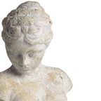 Close-up of the bust's downturned face and swept hair, showing fine crack-like markings and dark pits across the pale surface.