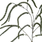 Closer view of curved amaranthus fronds branching from the central stem, with green detail and silver shimmer.
