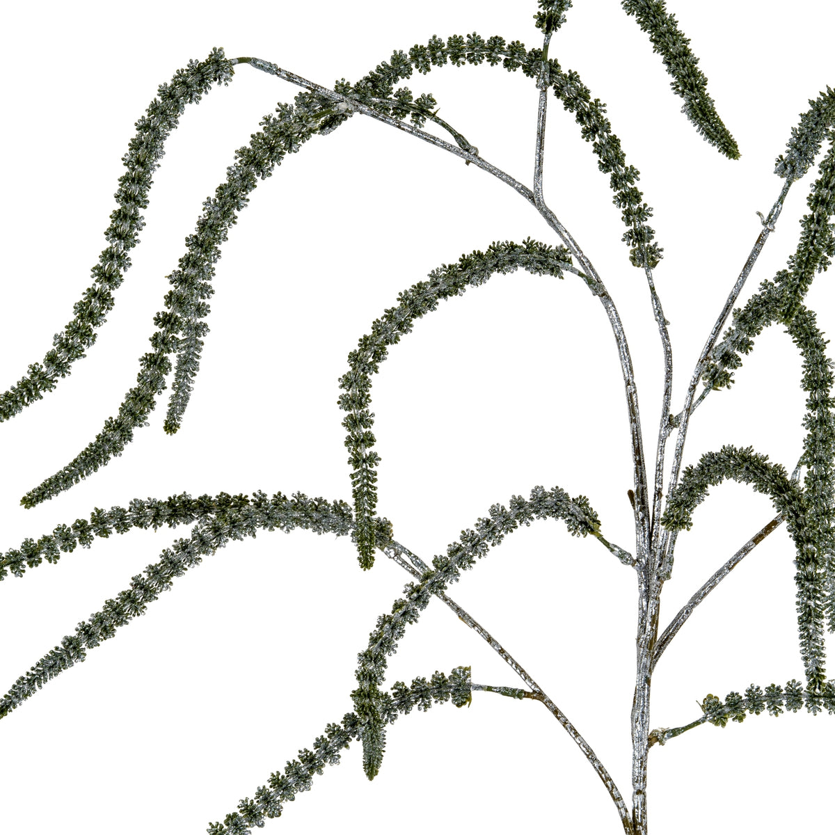Closer view of curved amaranthus fronds branching from the central stem, with green detail and silver shimmer.