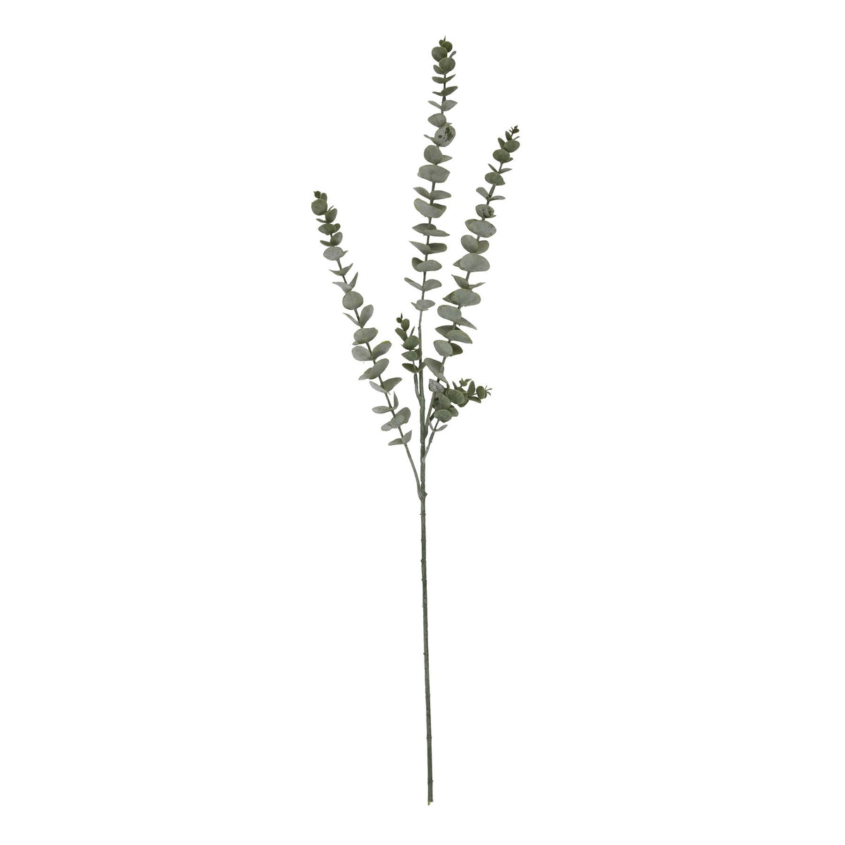 Full view of the Dustleaf Branch artificial foliage spray, with a long green stem and branching grey-green leaves against white.