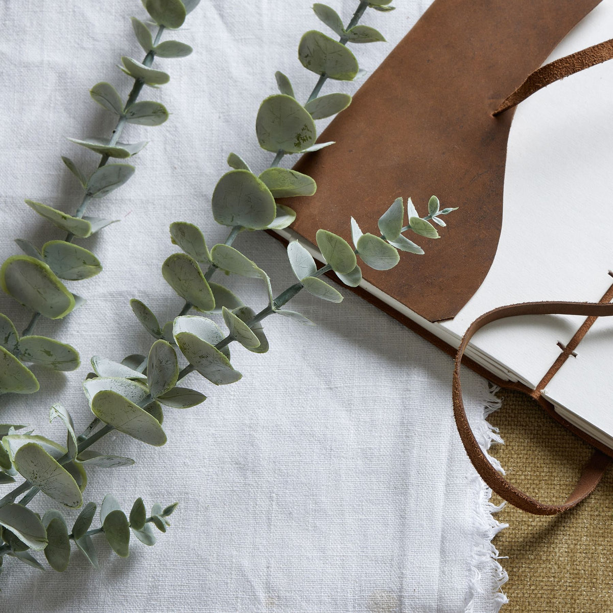 Close-up of rounded grey-green leaves with darker markings and vein detail, laid on white cloth beside an open brown-covered notebook.